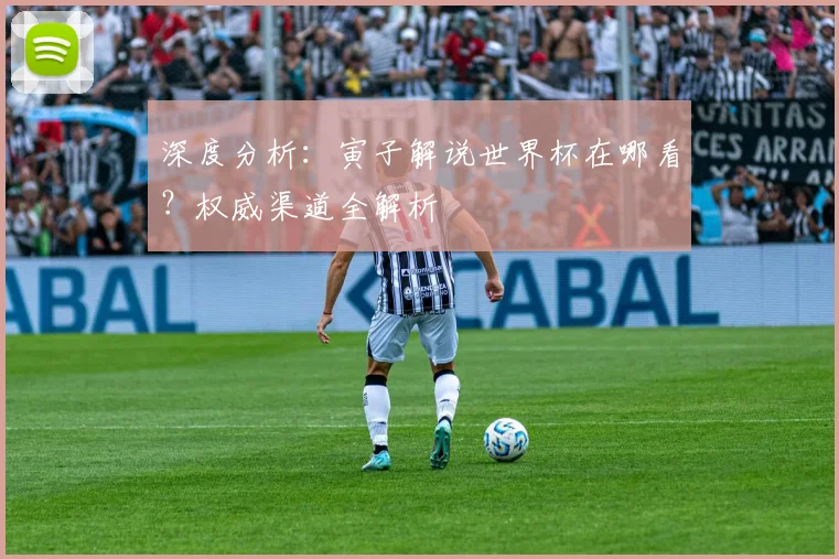 深度分析:寅子解说世界杯在哪看?权威渠道全解析