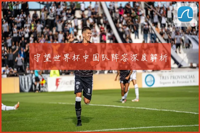 守望世界杯中国队阵容深度解析