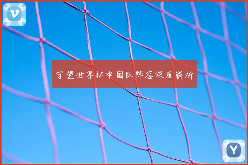 守望世界杯中国队阵容深度解析