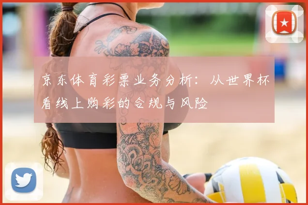 京东体育彩票业务分析：从世界杯看线上购彩的合规与风险