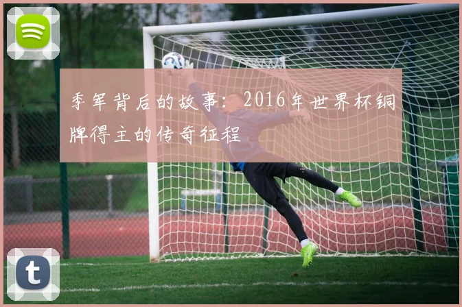 季军背后的故事：2016年世界杯铜牌得主的传奇征程
