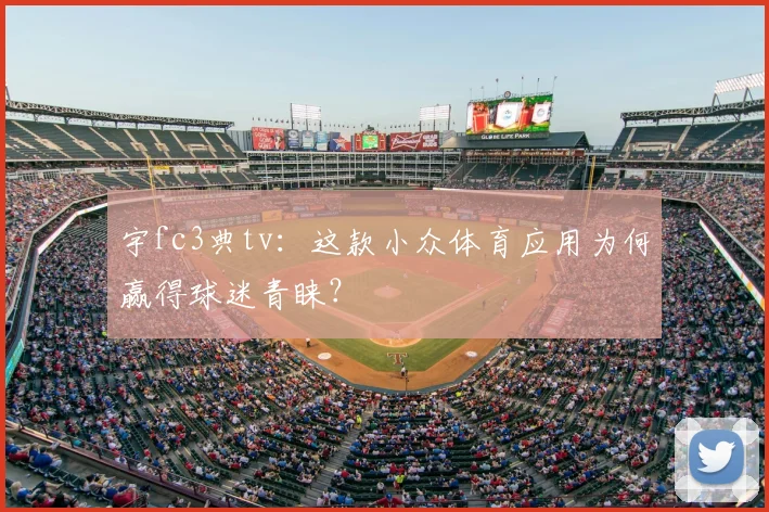 宇fc3典tv：这款小众体育应用为何赢得球迷青睐？