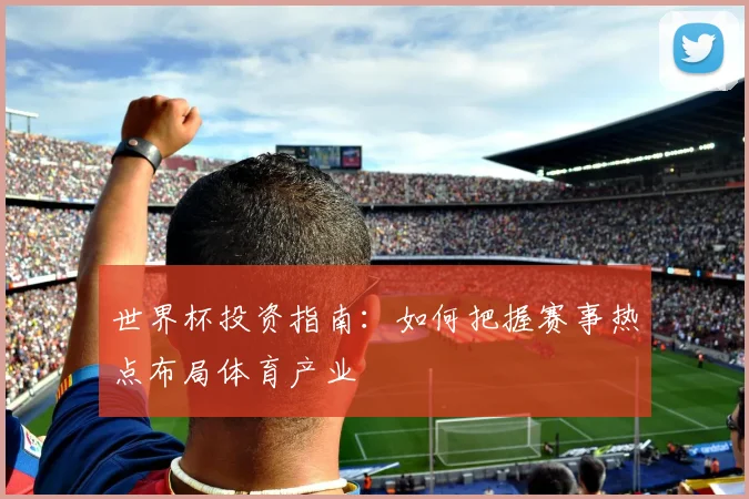 世界杯投资指南：如何把握赛事热点布局体育产业