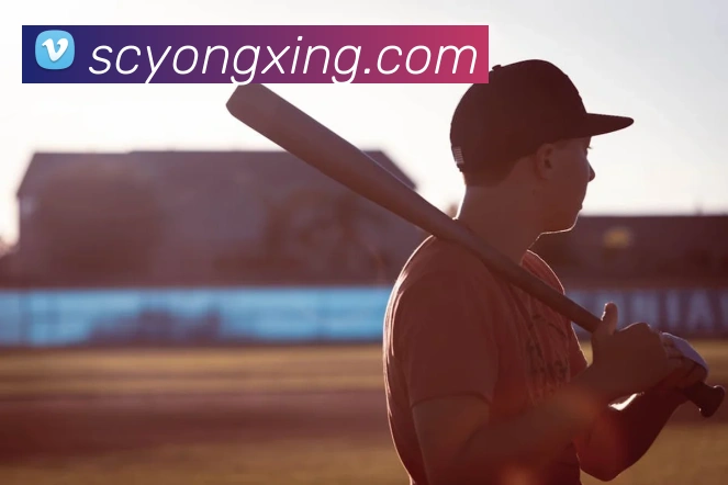 bobapp官网首页服务体系